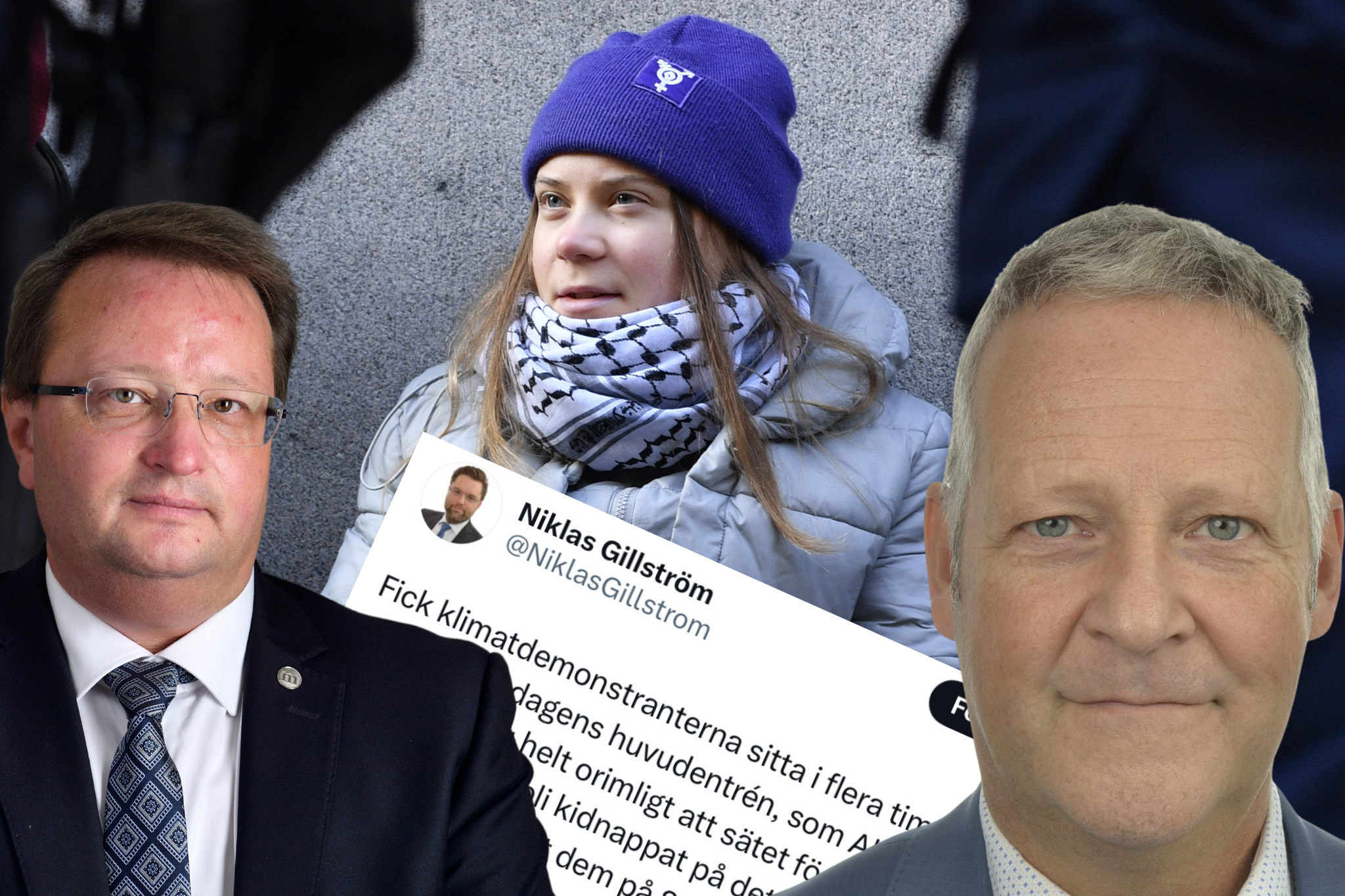 Greta Thunberg protesterar utanför riksdagen
